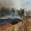 Пострадавшим от пожаров в Волгоградской области направили 13 млн рублей